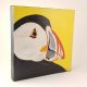 Yellow Puffin canvas print by Karl Penton