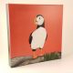 Red Puffin canvas print by Karl Penton